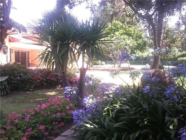 Villa Marx *